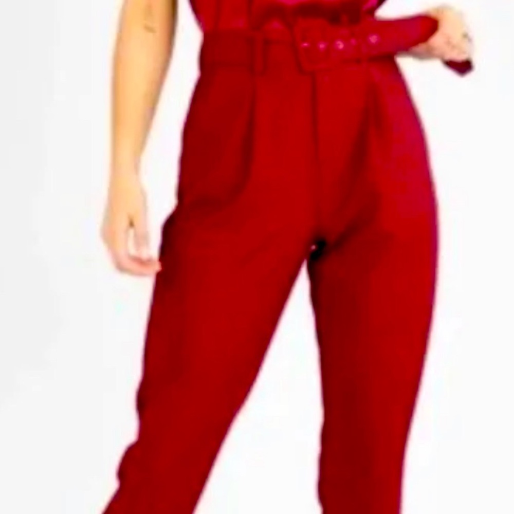 Kittenish Wine Night High Waisted Pants (dress pants) with belt. Worn once.